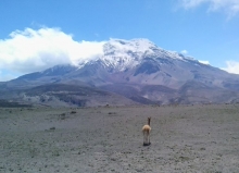 Imagen Reserva Chimborazo